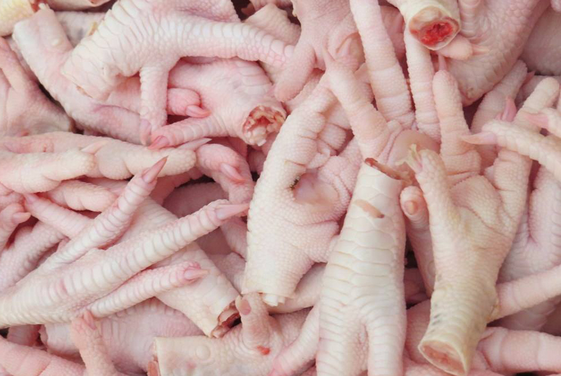 Brazil frozen chicken exporters