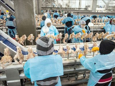 Brazil frozen chicken exporters