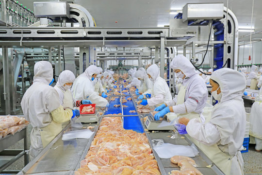 Brazil frozen chicken exporters