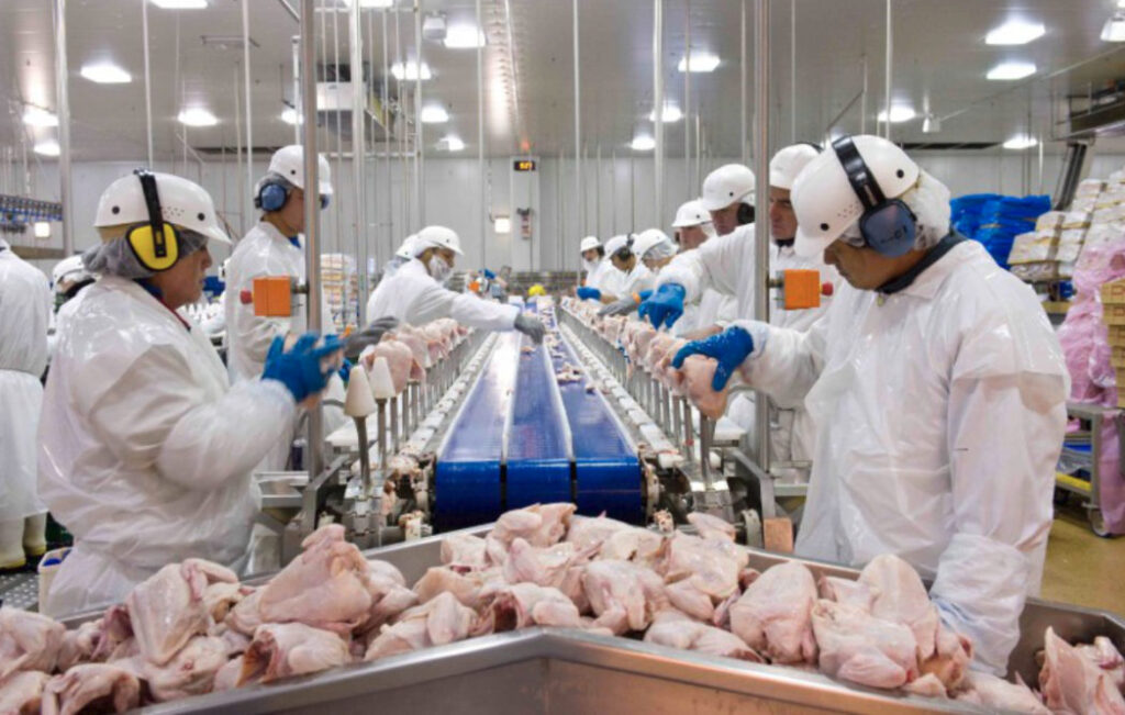 Brazil frozen chicken exporters