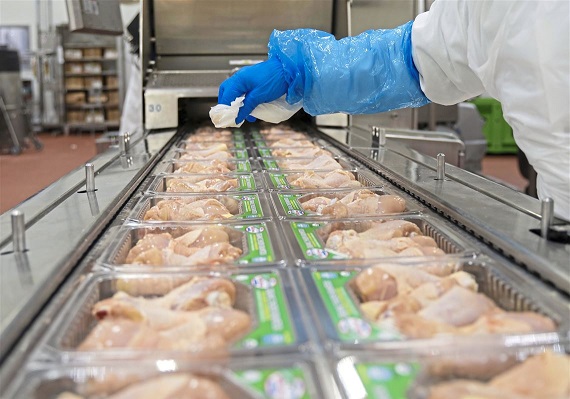 Brazil frozen chicken exporters